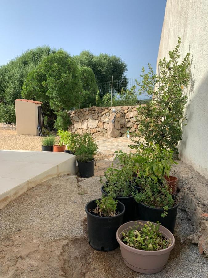 Stazzu Nuraghe Mannucciu Guest House Rena Majore Eksteriør bilde