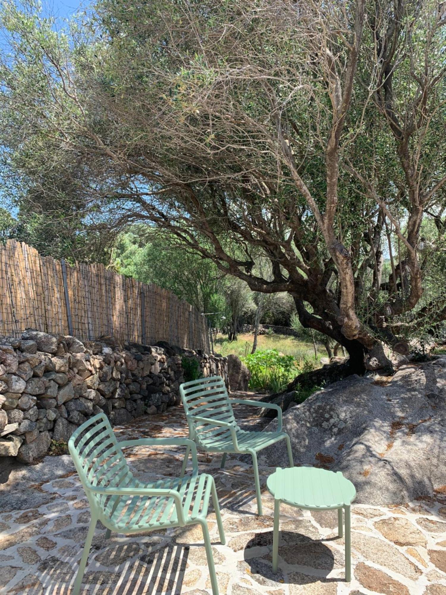 Stazzu Nuraghe Mannucciu Guest House Rena Majore Eksteriør bilde